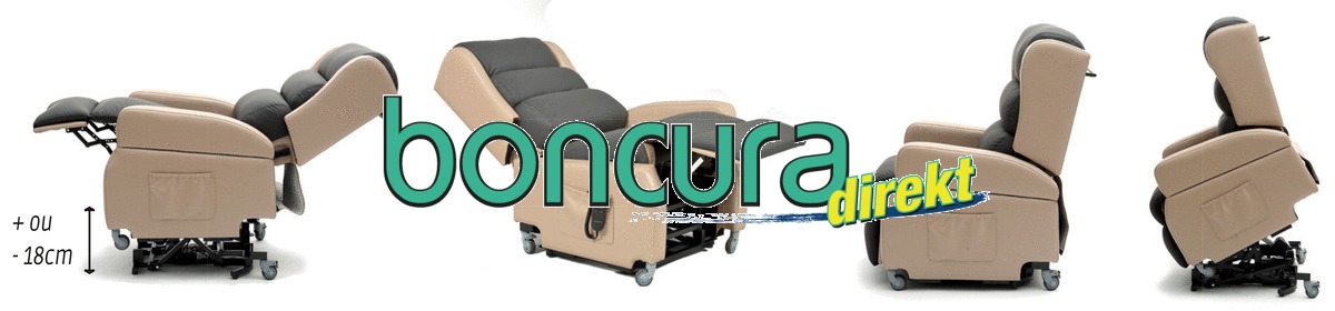 Aufstehsessel 1-motorig Mit Liftfunktion und Akku-Betrieb