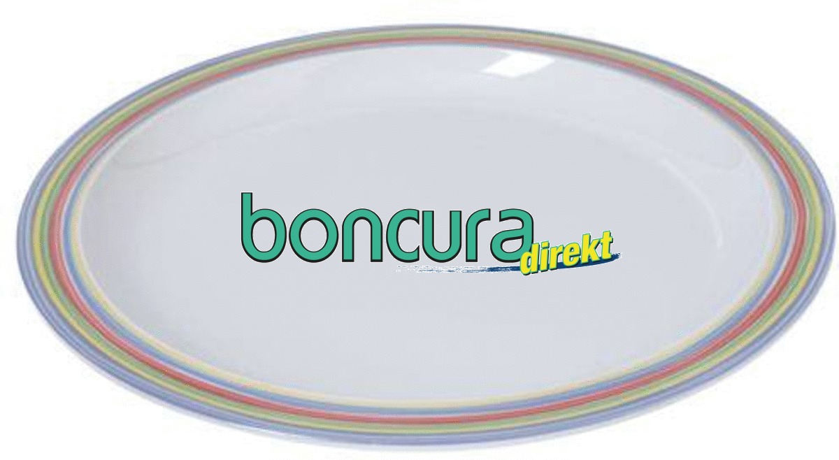 Teller flach 504, Ø 26 cm aus bruchstabilem Melamin